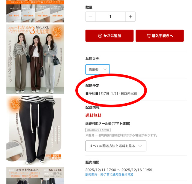 ダークエンジェルの発送が遅い・届かない：即納ではなく「未来の在庫」を売っている